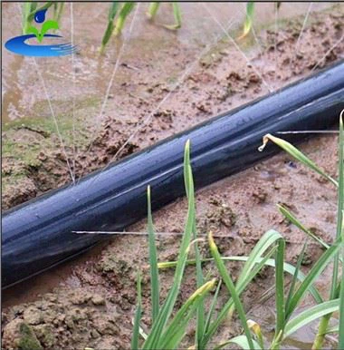 Mangueira de sprinkler com furos