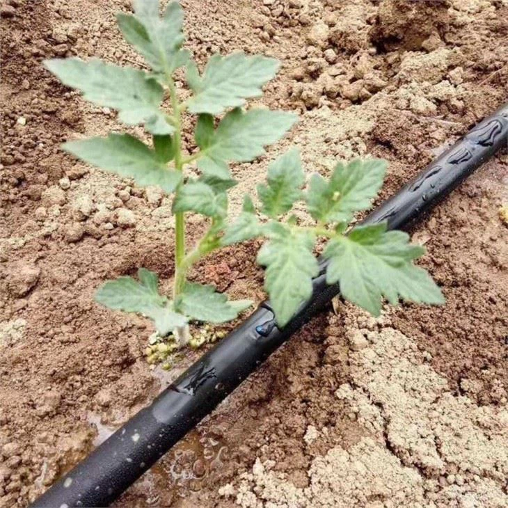 Fita de Irrigação por Gotejamento