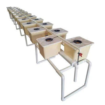 Plantas de balde holandês Baldes holandeses hidropônicos Baldes holandeses Sistema hidropônico de balde holandês